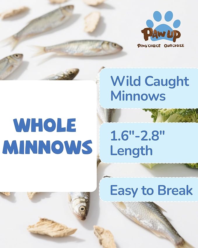 PAWUP Freeze Dried Minnows Dog Treats – 100% Single Ingredient Fish Treats for Dogs – Omega-3 Rich, Grain Free Training Treats & Dog Food Topper, 2.8 oz