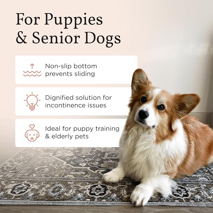 Lovewag Reusable Washable Dog Pee Pads, Marmalade Sunshine 28x41, 2 Pack | Non-slip, waterproof, absorbent dog pee pads for potty training, whelping, senior dogs, multi-pet households, easy to clean