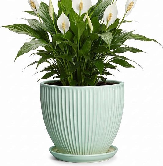 Ceramic Plant Pot, 8 Inch Flower Pots for Indoor Plants, Decorative Flower Planter with Drainage Hole and Saucer, Modern Round Pots for Plants, House Decor, House Warming Gifts, Mint Green