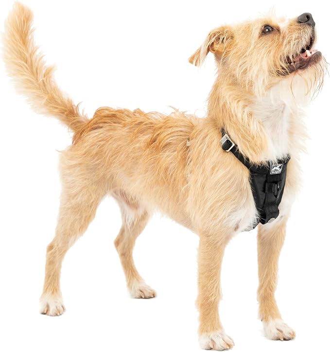 Kurgo Enhanced Strength Tru-Fit Smart Harness, Black, Small