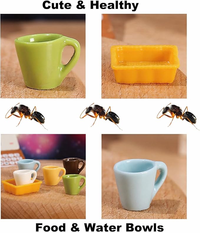 Spider Micro Water Bowl, 3 Pack Mini Liquid Feeder Ant Bowl, Ant Farm Water Feeder, Small Insect Water Bottle, Food Bowl Tarantula Mini Dish for Millipede Tiny Bugs Reptiles