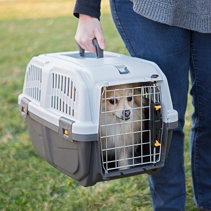 Skudo by MidWest 22-Inch Travel Carrier, Gray, Fits Pets up to 12 lbs | Hard-Sided Pet Carrier, Travel Crate with Handle, Ventilated Design, Locking Tabs, Easy Assembly