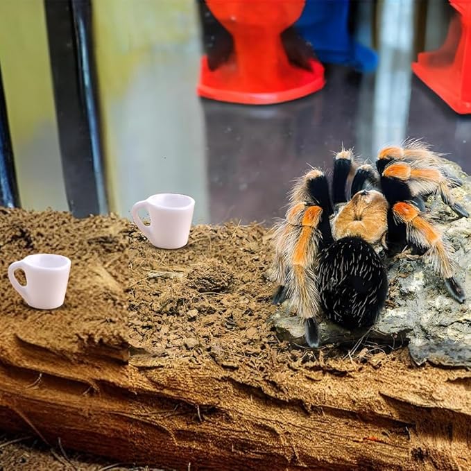 6 Pack Spider Micro Water Bowl Tarantula Resin Feeding Bowl for Tarantula Spider Millipede Tiny Bugs (Yellow and White)