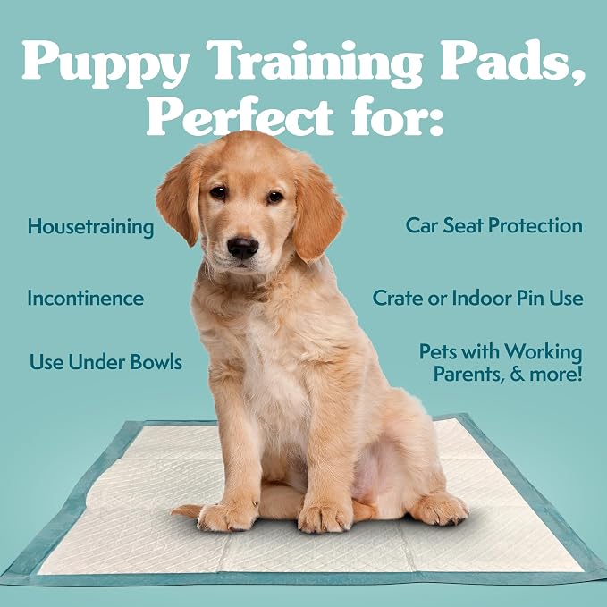 Simple Solution XL Pee Pads for Dogs, Leak Proof Dog Pads, 28x30, 100 Count | Dog Training Pads, Puppy Potty Training, Housebreaking, Disposable Pee Pads, Floor Protection, Indoor Potty, Puppy Essentials