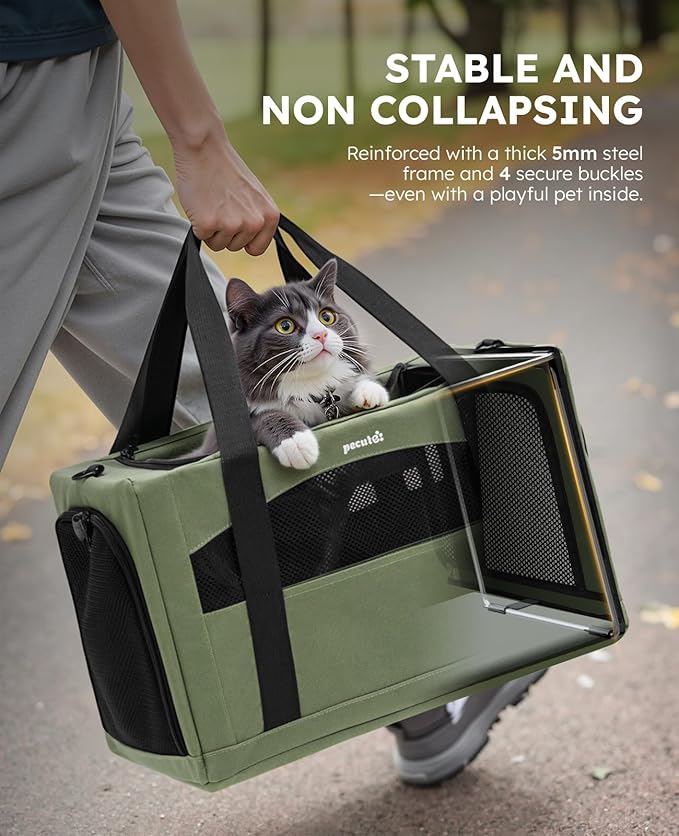 Pecute Cat Carrier Stable, Pet Carrier with Privacy Partition,Green | Safe For Car Travel, Stable Steel Frame, Soft-Sided Pet Carrier Bag For Dogs And Cats Up To 11lbs, Foldable Design.