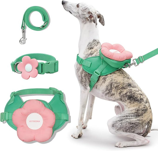VETRESKA Flora Dog Harness, Leash and Collar Set, No Pull Vest Harness, M | for Walking and Training, Adjustable, Easy Control and Soft Padded Pet Harness and Backpack for Small Medium Large Dogs