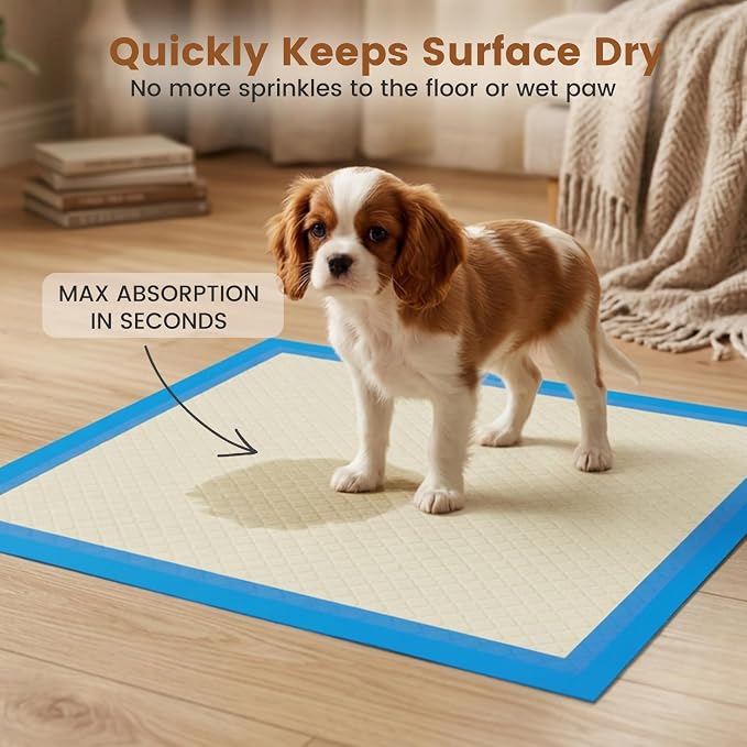 Gardner Pet Ultra Absorbent Thicker Dog Pee Pads Rugular 22"x22" Leak-Proof Odor-Control Small Blue Puppy Training Pads Full Edge-Wrapping Pad for Dogs, Puppies, Doggie, Cats, Rabbits - 50 Ct