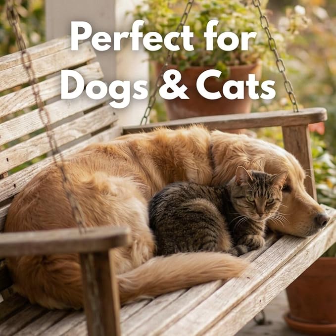 Freeze Dried Sockeye Salmon Pet Treats for Dogs & Cats, Human Grade, Fisherman Direct, Premium Wild Caught Alaskan, Single Ingredient, Omega 3, Natural Healthy Dog Training Treats, Made in USA, 3 Pack