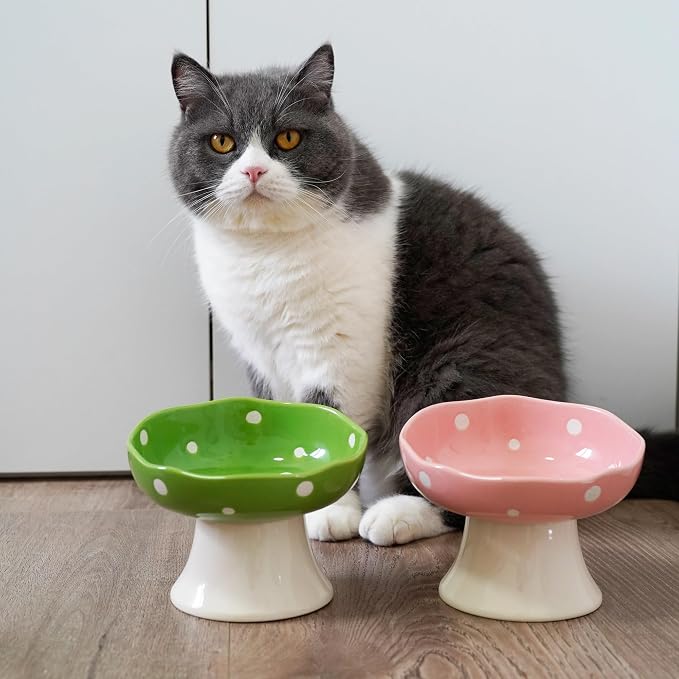 4PCS Multi-Color Mushroom Cat Bowl Set, Elevated Ceramic Bowls for Cats | Multi-Color, Cute, Elevated, Ceramic, Whisker Friendly, Anti Vomiting