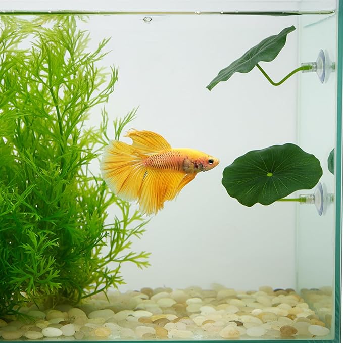 3 Pcs Betta Fish Leaf Hammock, Betta Fish Practical Resting Spot Bettas Suction Cup Tank Decor Green Hammock Plant Leaf Pad Fishes Breeding Resting Bed for Fishes Aquarium Decoration Ornaments