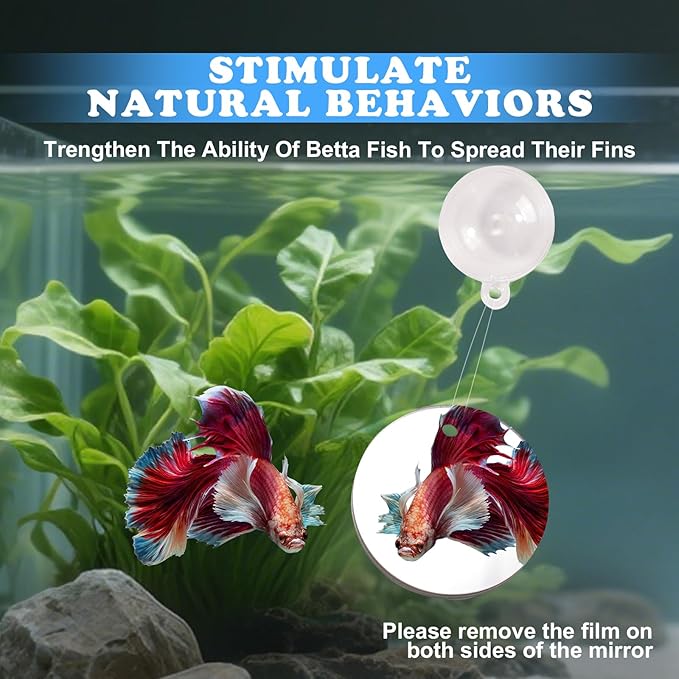 Betta Fish Toys, 2 PCS Fish Exercise Ring and Nitrifying Balls Set, Betta Mirror Toy Set, Feeding Ring with Suction Cup, Fishing Tank Accessories for Gifts (Red)