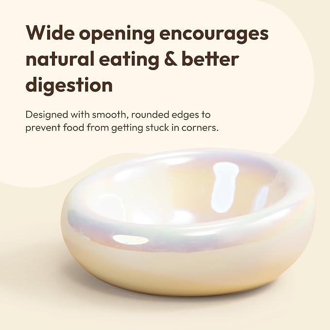 Pebble Pet Bowl Deep Pearl, Ergonomic Dog Cat Feeding Bowl, Flat-Faced Breed, Tilted Ceramic Pet Food Dish, Scooper Eater, Anti-Spill Design, Dishwasher Safe, Modern Pet Bowl, Dry & Wet Diet
