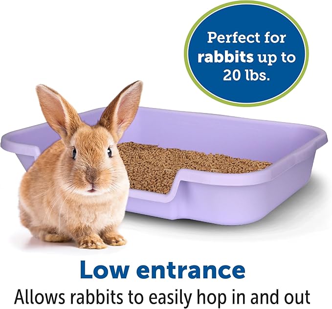 Bunny Go Here Rabbit Litter Box by Kit's Pet Pans Storybook Lavender Color Great for Ferrets Too! USA Made and 100% Warranty.