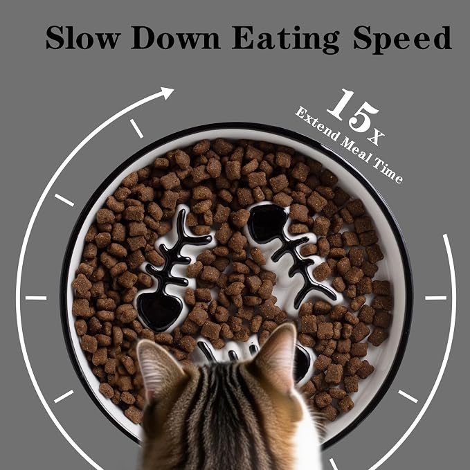Ceramic Cat Bowls Set, Whisker-Friendly Feeding Dishes, Wet & Dry Food, 2-Pack