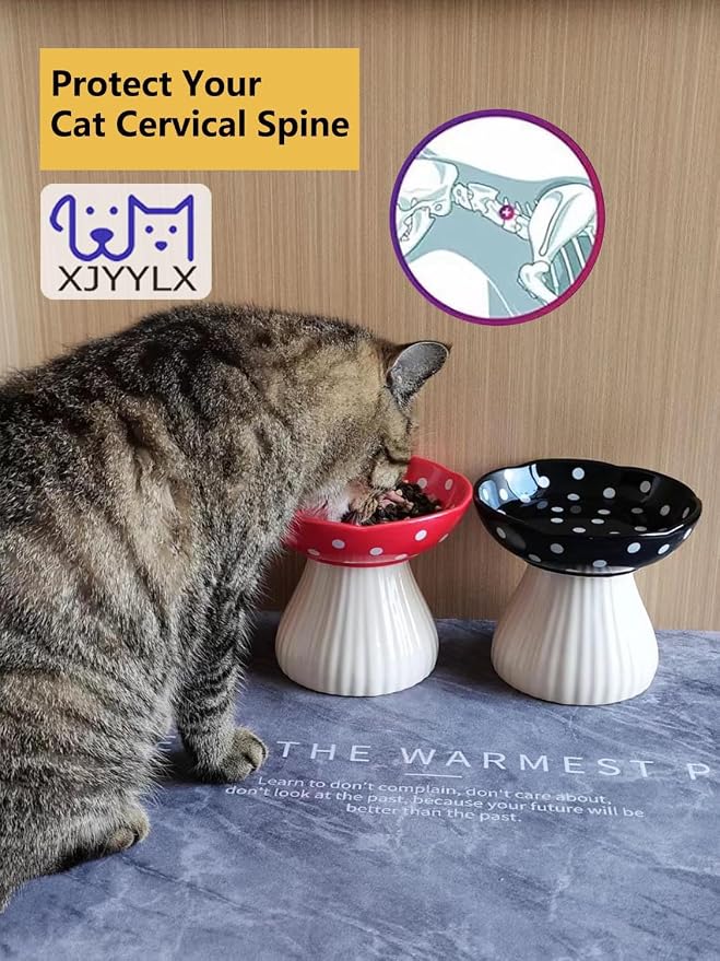 Mushroom Elevated Cat Bowls Ceramic, Cute Cat Bowls Whisker Fatigue | Raised Cat Bowl for Indoor Cats, Raised Dog Bowls Stand for Food and Water, Black 6" Wide for Adult Cats
