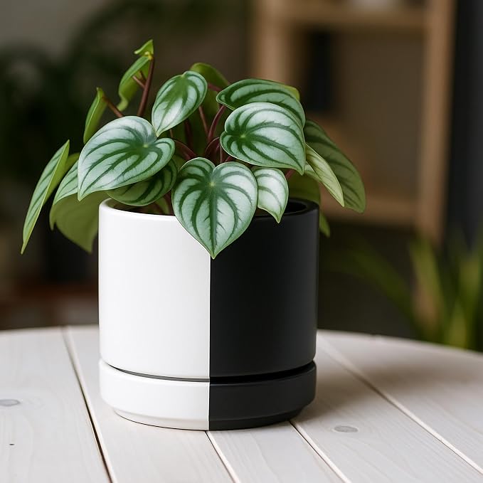 D'vine Dev 4.7 Inch Ceramic Planter Pot, Black White Split, 94-O-B-0 | Modern Cylinder Design, Drainage Hole & Saucer Included, Stable Structure, Elegant Home Accent