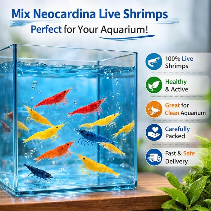 20+ Holding Mixed Color Neocaridina Shrimp - Live Freshwater Aquarium Shrimp for Breeding, 1/2-1 Inch (Young Adults) - Fire Red, Blue Dream, Yellow & More - Live Arrival Guarantee! (Mix)