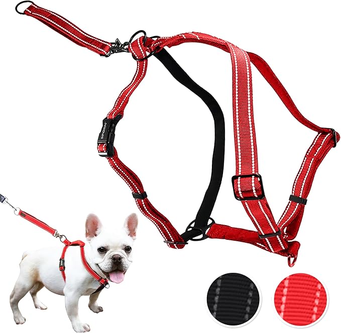 SPORN Ultimate Control No Pull Dog Harness for Small-Sized Dogs - 4-in-1 Adjustable Dog Harness with Front, Back & Dual-Clip Options & Emergency Grab Handle - Easy On/Off, Padded Comfort (Red, S)