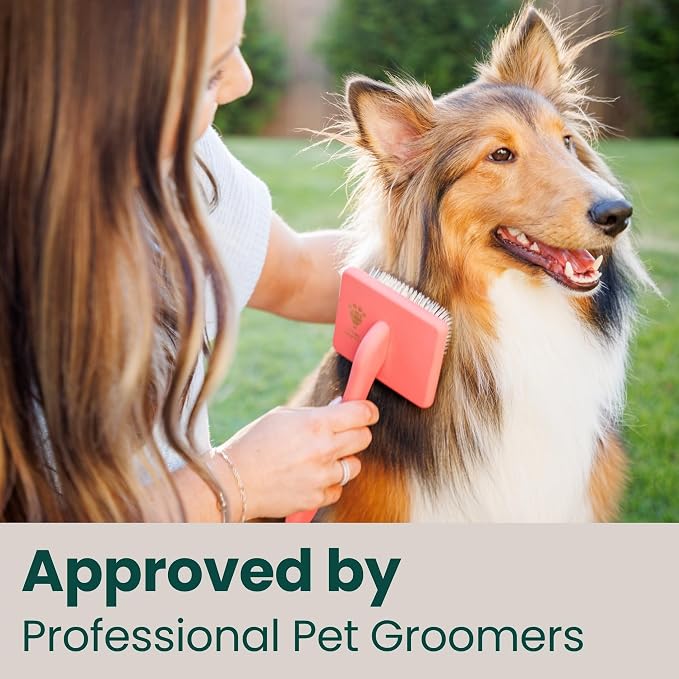 Slicker Brush for Dogs - Long Pin for Poodles, Doodles & Long Haired Dogs, Deshedding & Dematting Tool, Slicker Dog Brushes for Grooming (Coral, Curved Small)