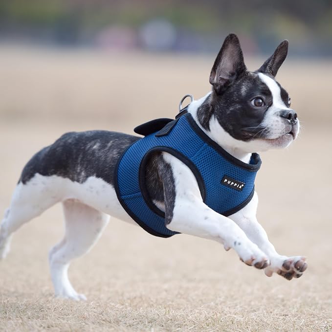 PUPPIA International Puppia Harness Soft B Vest Royal Blue Small