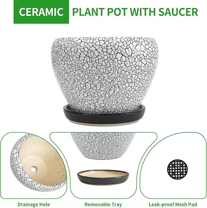 Deep Dream 8 Inch Plant Pots- Ceramic Pots for Plants with Drainage Hole and Saucer, Large Planter Pot for Indoor Plants Outdoor Decor, Wood Crack Black