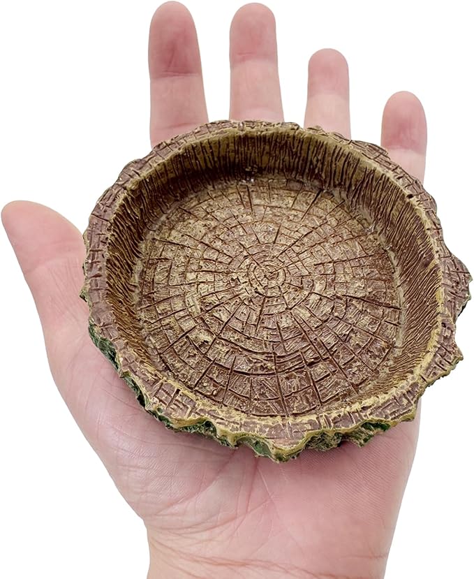 2 Pack Reptile Food Bowls, Reptile Feeding Terrarium Bowls for Bearded Dragon Lizard Frog Gecko Tortoise Hermit Crab Snail (Brown A)