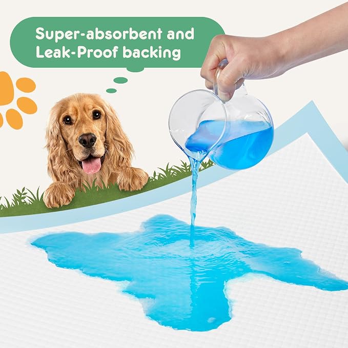 DUMOS 100 Count Puppy Dog Pads, Dogs Potty Pee Disposable Training Pads | 6-Layer Super Absorbency, Disposable Pet Leakproof Quick Drying, 22"×22"× Regular Size