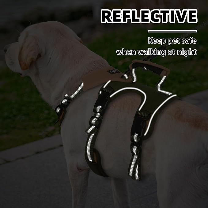 PUPTECK Escape Proof Dog Harness and Leash Set Upgraded No Pull Reflective Dog Vest with Lift Handle, Easy Control Pet Harness for Medium Large Dogs Training Walking Running, Green, XL