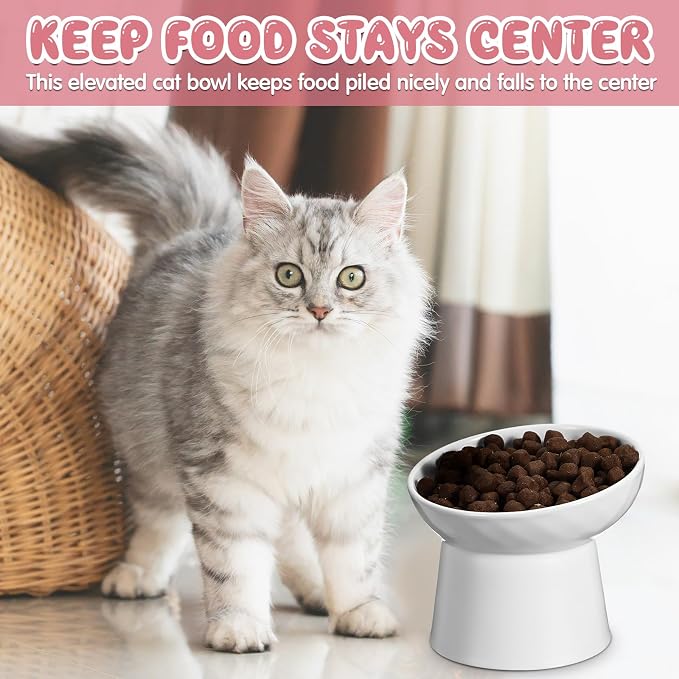 4 Pcs Ceramic Raised Cat Bowls, Elevated Tilted Cat Bowl for Food Water, Stress Free, Backflow Prevention, Dishwasher Microwave Safe, Feeder Dish for Indoor Kitten, Small Dogs(White and Pink)