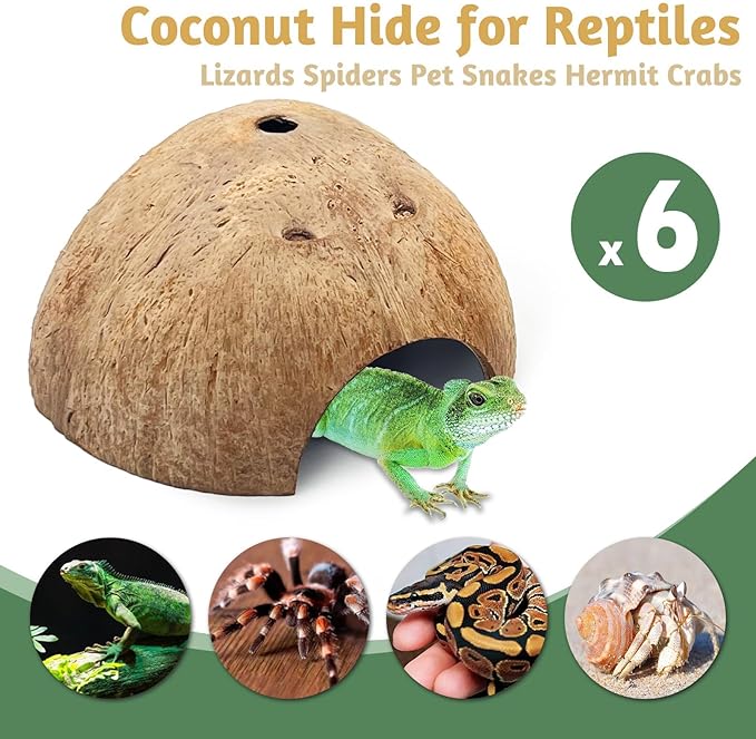 PINVNBY 6 PCS Natural Coconut Reptile Hideouts Lizard Coco Hut Hermit Crab Hut Aquarium Fish Hide Cave Spider Snail Climber Toys