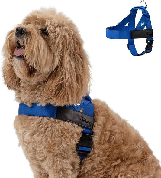 Dog Friendly Co. Dog Harness for Medium Sized Dogs (Classic Blue, Medium) | One Click Buckle, Chafe Resistant Webbing, Adjustable Neck & Chest, and Heavy Duty D-Ring, Sturdy Comfortable and Easy to Use