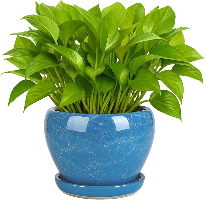 Deep Dream 6 Inch Plant Pots- Ceramic Planter Pot with Drainage Hole and Saucer, Round Flower Pot for Indoor Outdoor Succulent, Snake Plants and Cactus, Gemstone Blue