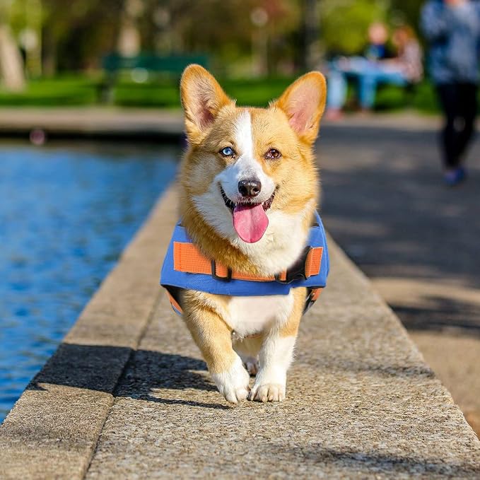 Dog Life Jacket, Adjustable Dog Life Vest, Pet Lifesaver for Swimming, Shark Life Jacket with Rescue Handle, Rip-Stop Safety Vest for Small Medium Large Dogs