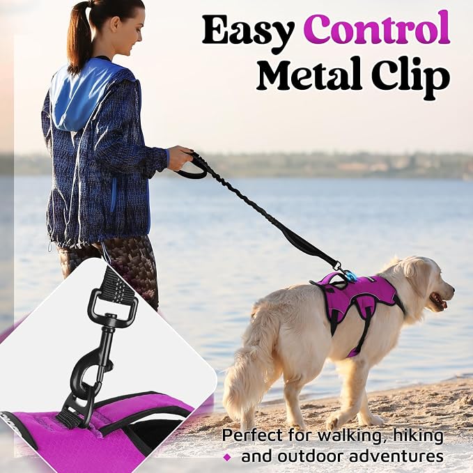 rabbitgoo Escape Proof Dog Harness for X-Large, No Pull with Lift Handle | No Escape, Full Soft Padded, Reflective Adjustable Vest, Leash Clip for Walking Hiking Training, Purple, X-Large