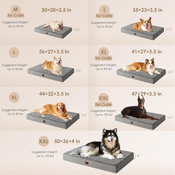 EHEYCIGA Orthopedic Dog Bed Medium with Removable Washable Cover,30x20 | Egg Crate Foam Support, Durable Oxford fabric, Non-Slip Bottom, Machine Washable, Soft Waterproof Plush Pet Bed Mat For Crate