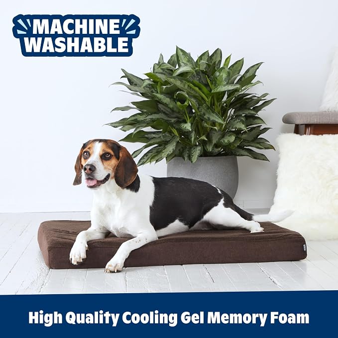 BarkBox Orthopedic Dog Bed - Medium | with Memory Foam - Comfortable, Durable & Machine Washable Pet Bed - Espresso