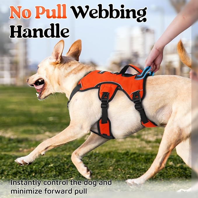 rabbitgoo Escape Proof Dog Harness for X-Large, No Pull with Lift Handle | No Escape, Full Soft Padded, Reflective Adjustable Vest, Leash Clip for Walking Hiking Training, Orange, X-Large