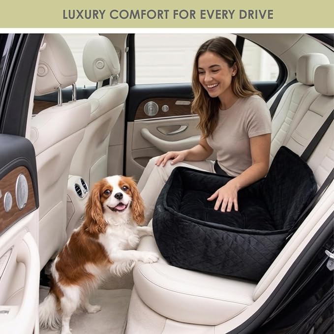 NANDOG Luxury Dog Car Seat Bed for Medium Dogs, Micro Plush Pet Seat with Removable & Washable Cushion Insert, Thick Safety Seatbelt Straps, Secure Travel Carrier, Charcoal Dark Grey, 22" L x 18" W