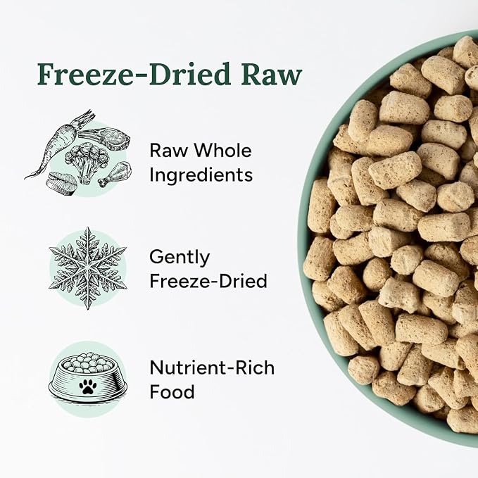360 Pet Nutrition Freeze-Dried Raw Dog Food – Multi-Protein with Beef, Chicken, Fish, Liver & Organs, High Protein Omega-3s Fruits Veggies & Superfoods Grain-Free, No Fillers, 6 x 5 oz – Made in USA