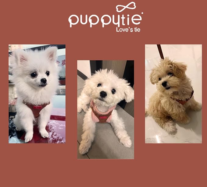 Puppytie XXS Puppy Harness with Multifunction Dog Leash,Soft Adjustable No Choke Escape Proof Pet Harness Vest,Brown Caramel,XXS