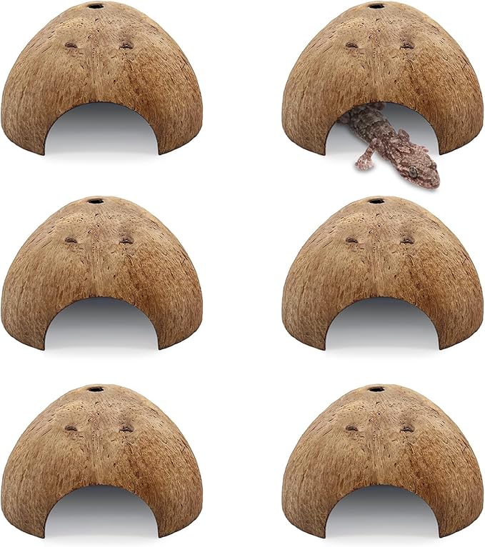 PINVNBY 6 PCS Natural Coconut Reptile Hideouts Lizard Coco Hut Hermit Crab Hut Aquarium Fish Hide Cave Spider Snail Climber Toys