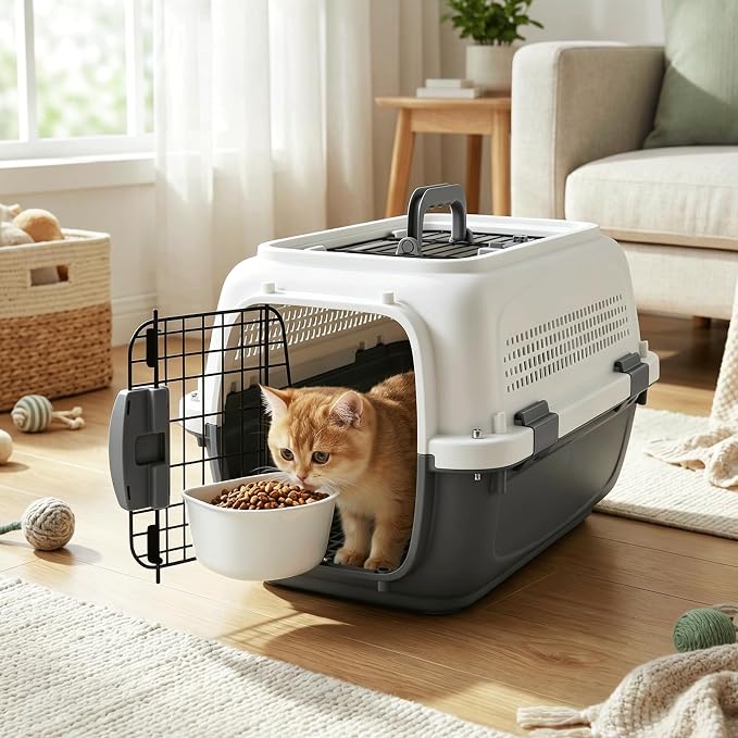 19.5" Hard-Sided Pet Carrier for Small Dogs & Cats, Plastic Cat Carriers | Front & Top Door Access, Ventilation Design, Feeding Bowl Included, for Camping & Trips, for Small Pets up to 20 lbs, Gray