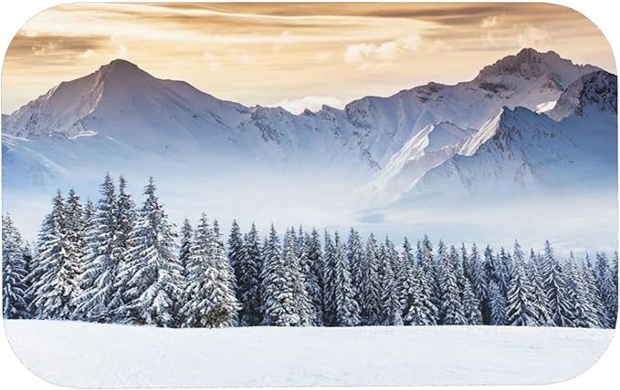 Door Mat, Winter Quick Dry Bath Mat, Fantastic Landscape with Snowy Mountains Pine Trees, 31.4" W x 19.6" L, Multi-Purpose Rubber Floor Mat,Multicolor
