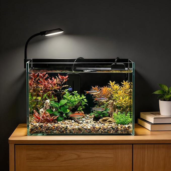 2.5 Gallon Small Fish Tank, Nano Aquarium with Heater, Ultra-Clear Glass, LED Light, Filter, Lid, Gravel and Rock, Desktop Beta Fish Aquarium Perfect for Shrimp, Snails or Live Plants