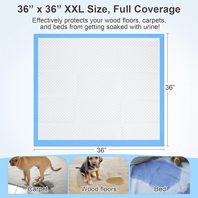 4XL Dog Pee Pads 36"x36", 6 Layer Absorbent Puppy Pads, 100 Count | 36"x36" extra-large pads with 1200ml capacity, quick-dry surface and leak protection for Old, Surgery,Large Dogs