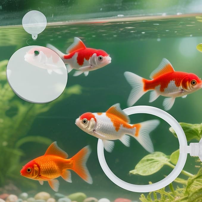 2 Pcs Betta Fish Exercise Ring and Betta Mirror Set,Betta Ring Enrichment Toys,Betta Toys Suitable for Fish Tank, Betta Tank, Betta Aquarium