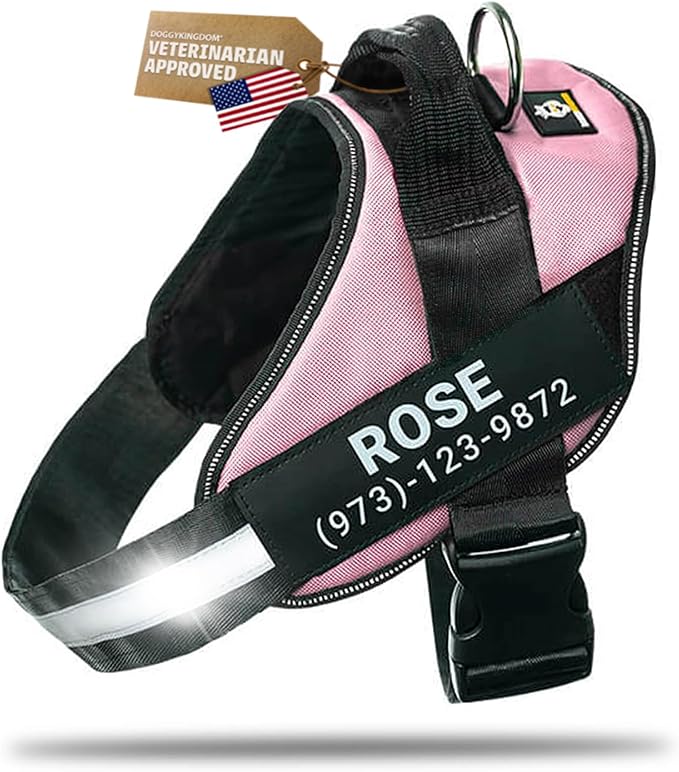 Personalized Dog Harness with Custom Name Patches, Adjustable Reflective No Choke Dog Vest with Handle for Large Dogs, Pink, L