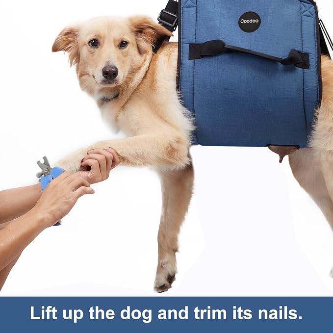 COODEO Dog Carry Sling, Emergency Backpack Pet Legs Support & Rehabilitation Dog Lift Harness for Nail Trimming, Dog Carrier for Senior Dogs Joint Injuries, Arthritis, Up and Down Stairs (L, Blue)