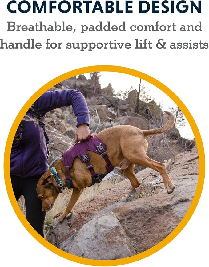 Ruffwear, Web Master, Multi-Use Support Dog Harness, Hiking and Trail Running, Service and Working, Everyday Wear, Purple Rain, XX-Small