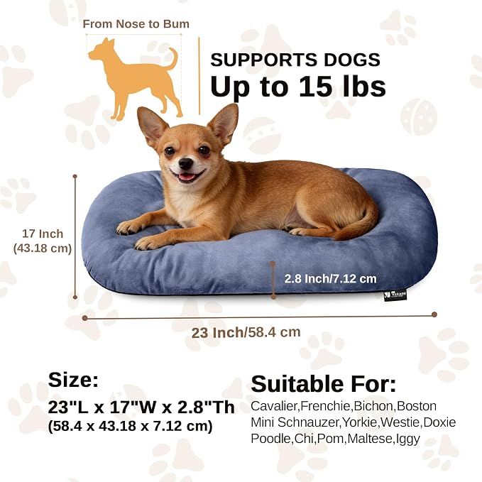 Washable Oval Small Dog Bed, Silver-Tipped High-Resilience, Dusty Blue | Non-Slip Bottom Prevents Sliding,Soft Plush Short Fur,Machine Washable Cushion,Ideal for Crates & Small Spaces,23"x17"x2.8"